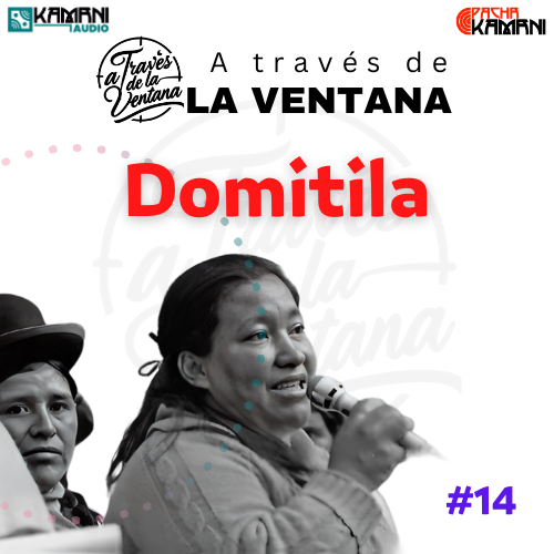 Domitila Barrios #014