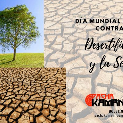 Lucha contra la Desertificación y la Sequía | Boletín