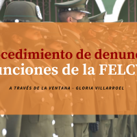 Procedimiento de denuncia y funciones de la FELCV