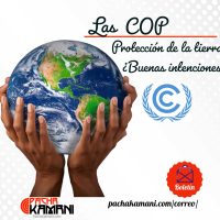 Las COP y la protección de la tierra, buenas intenciones | Boletín
